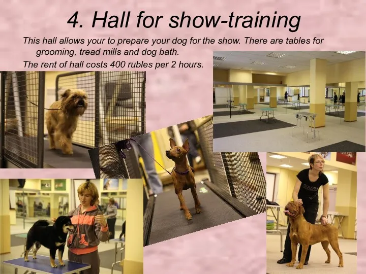 4. Hall for show-training This hall allows your to prepare