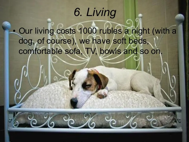 6. Living Our living costs 1000 rubles a night (with