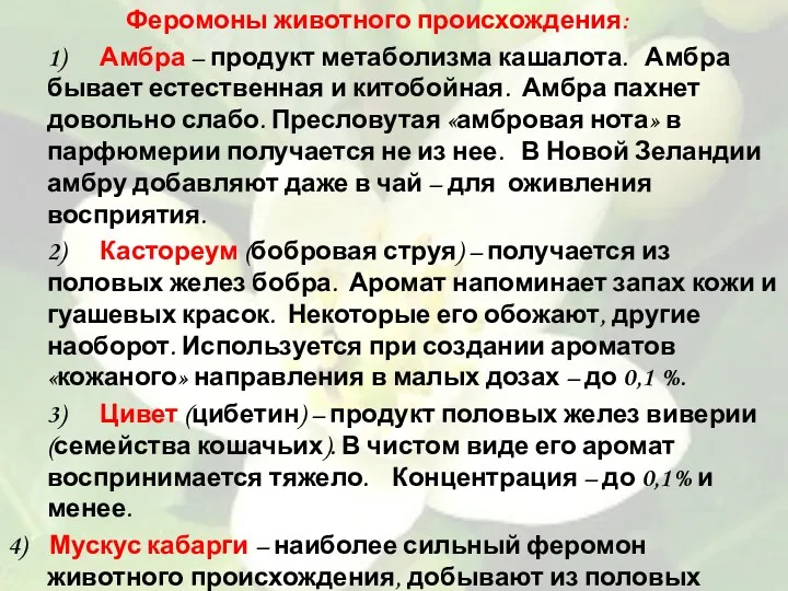 Феромоны животного происхождения: 1) Амбра – продукт метаболизма кашалота. Амбра бывает естественная и