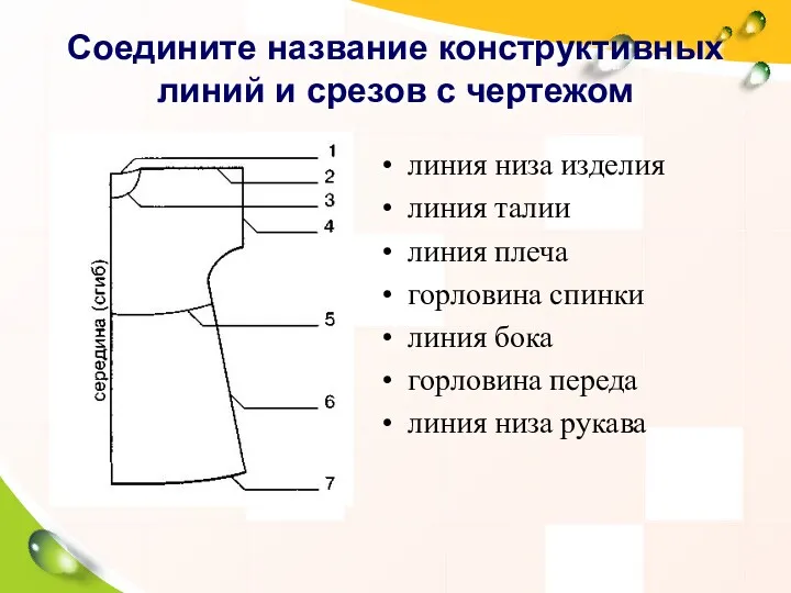 Соедините название конструктивных линий и срезов с чертежом линия низа