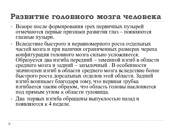 Развитие головного мозга человека Вскоре после формирования трех первичных пузырей