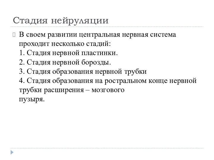 Стадия нейруляции В своем развитии центральная нервная система проходит несколько