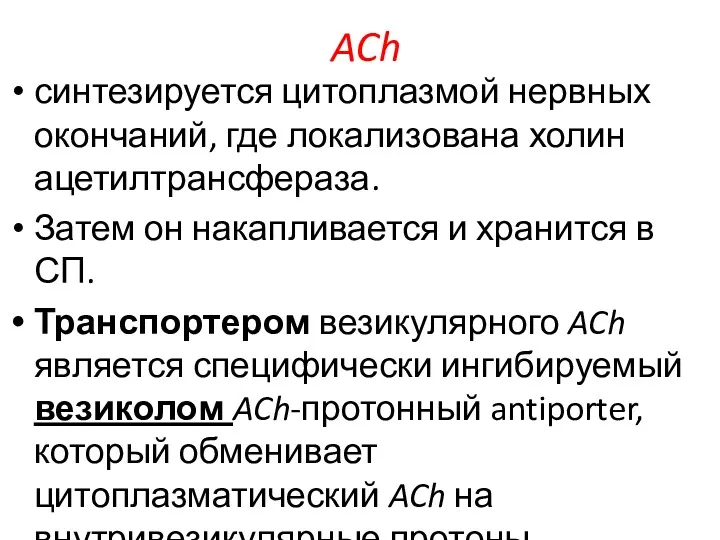 ACh синтезируется цитоплазмой нервных окончаний, где локализована холин ацетилтрансфераза. Затем