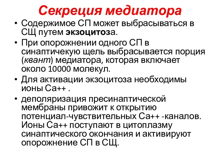 Секреция медиатора Содержимое СП может выбрасываться в СЩ путем экзоцитоза.