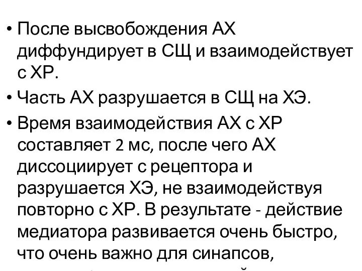 После высвобождения АХ диффундирует в СЩ и взаимодействует с ХР.