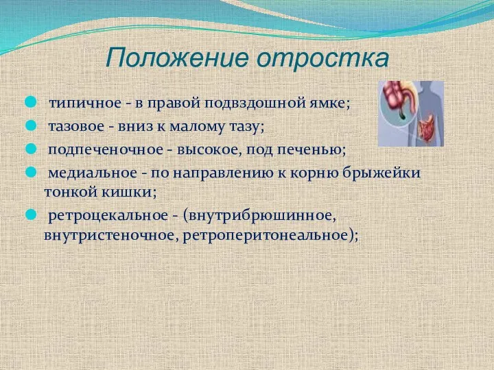 Положение отростка типичное - в правой подвздошной ямке; тазовое -