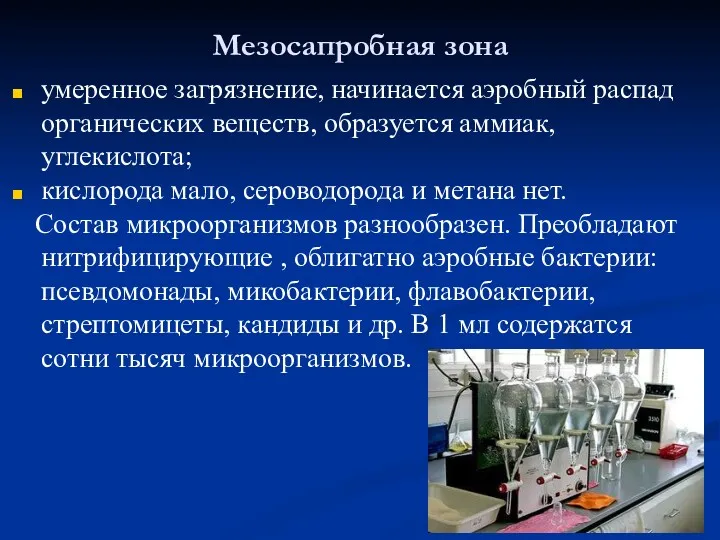 Мезосапробная зона умеренное загрязнение, начинается аэробный распад органических веществ, образуется