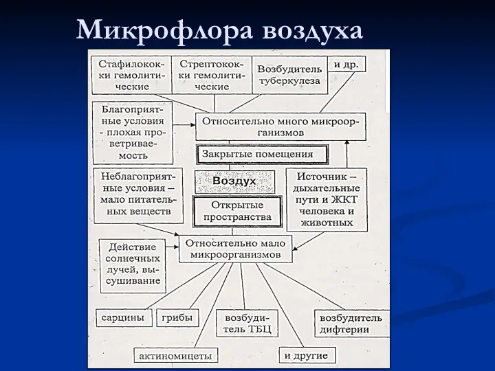 Микрофлора воздуха