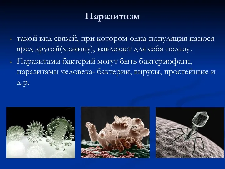 Паразитизм такой вид связей, при котором одна популяция нанося вред