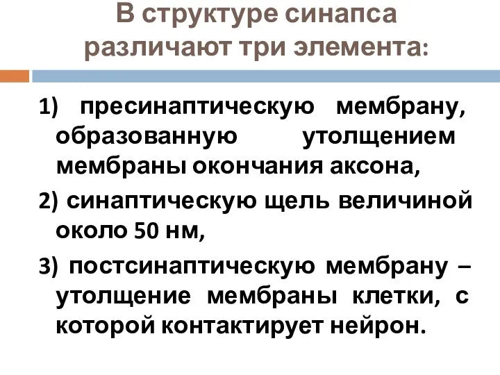 В структуре синапса различают три элемента: 1) пресинаптическую мембрану, образованную