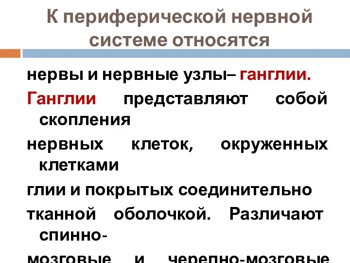 К периферической нервной системе относятся нервы и нервные узлы– ганглии.