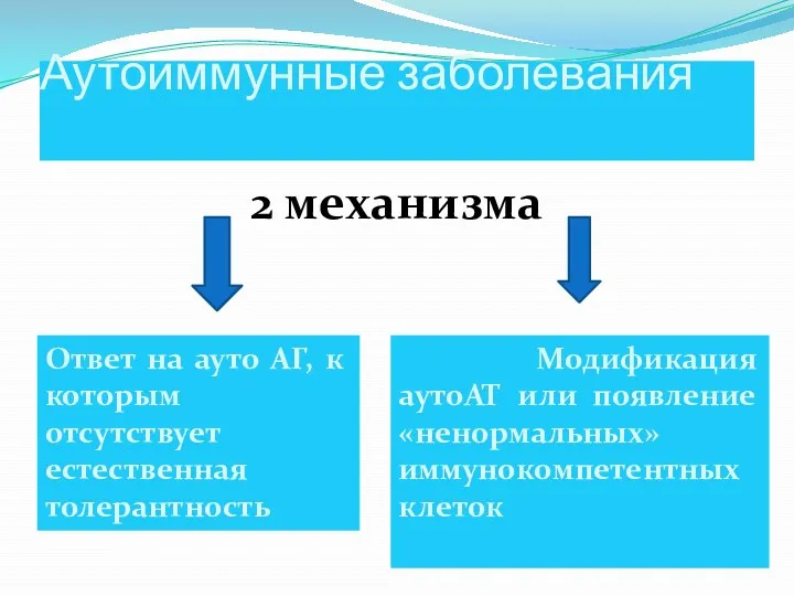 Аутоиммунные заболевания 2 механизма Ответ на ауто АГ, к которым