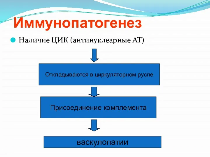 Иммунопатогенез Наличие ЦИК (антинуклеарные АТ) Откладываются в циркуляторном русле Присоединение комплемента васкулопатии