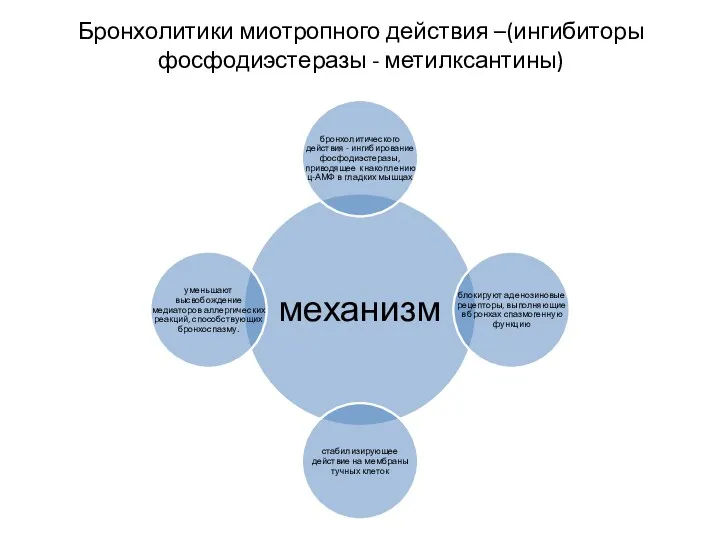 Бронхолитики миотропного действия –(ингибиторы фосфодиэстеразы - метилксантины)