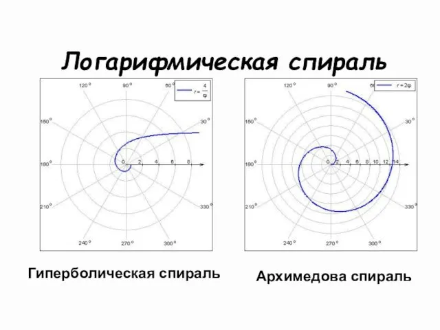 Логарифмическая спираль Гиперболическая спираль Архимедова спираль