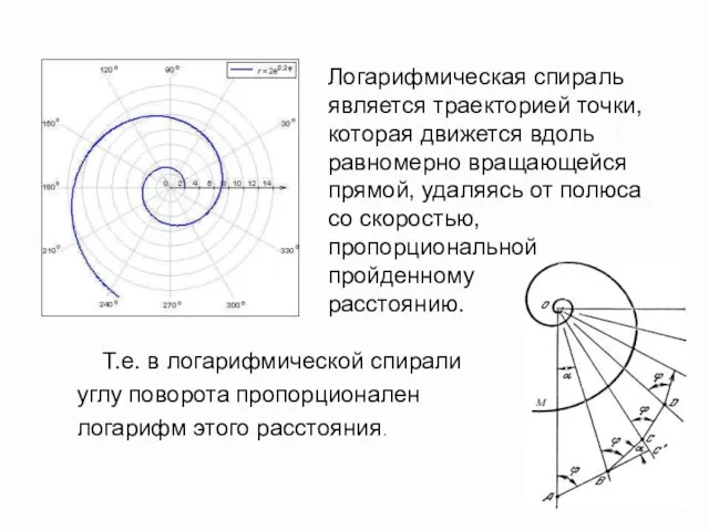Логарифмическая спираль является траекторией точки, которая движется вдоль равномерно вращающейся