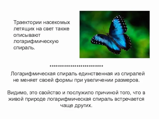 Траектории насекомых летящих на свет также описывают логарифмическую спираль. **************************