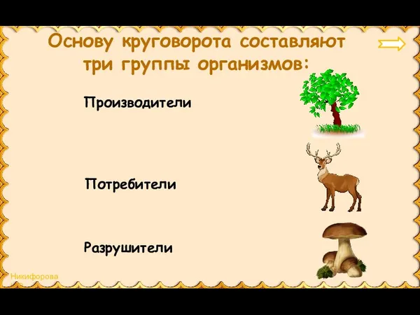 Основу круговорота составляют три группы организмов: Производители Потребители Разрушители