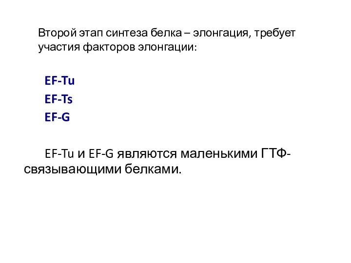 EF-Tu EF-Ts EF-G EF-Tu и EF-G являются маленькими ГТФ-связывающими белками.