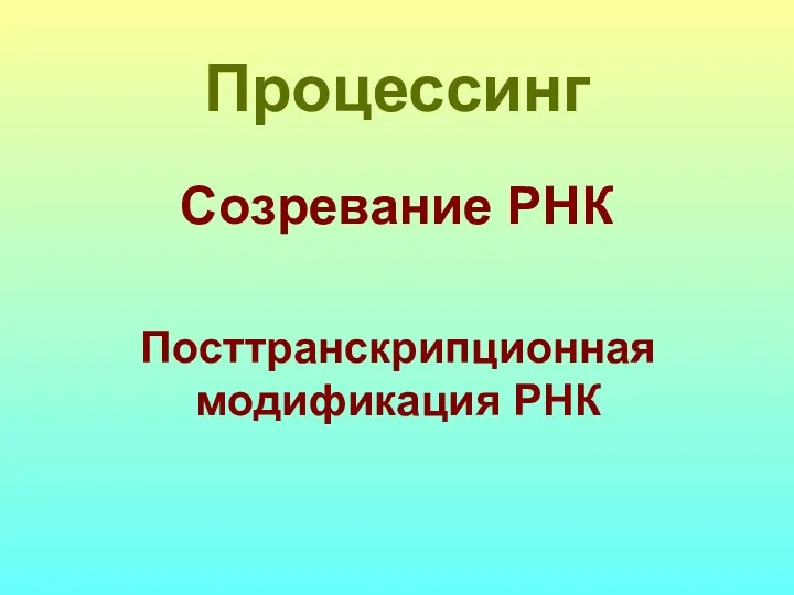 Процессинг Созревание РНК Посттранскрипционная модификация РНК