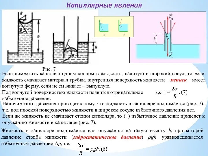 Капиллярные явления Если поместить капилляр одним концом в жидкость, налитую