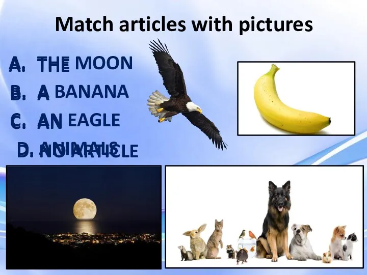 Match articles with pictures THE A AN D. NO ARTICLE