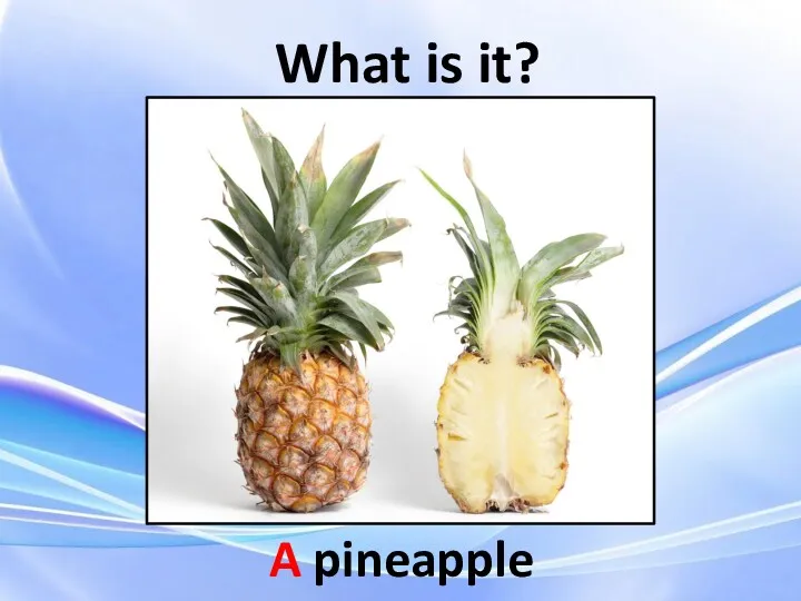 What is it? A pineapple