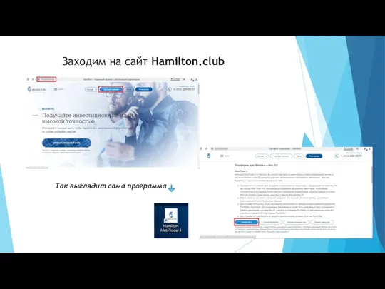 Заходим на сайт Hamilton.club Так выглядит сама программа