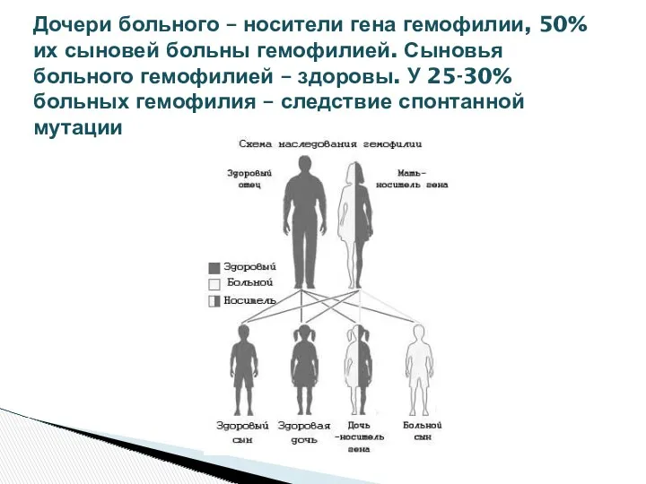 Дочери больного – носители гена гемофилии, 50% их сыновей больны