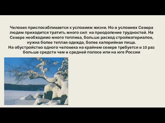 Человек приспосабливается к условиям жизни. Но в условиях Севера людям