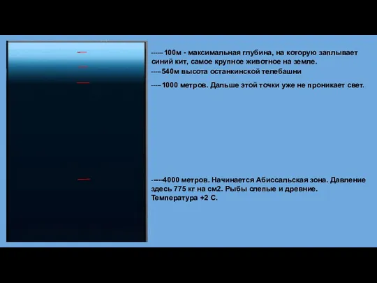 ------100м - максимальная глубина, на которую заплывает синий кит, самое