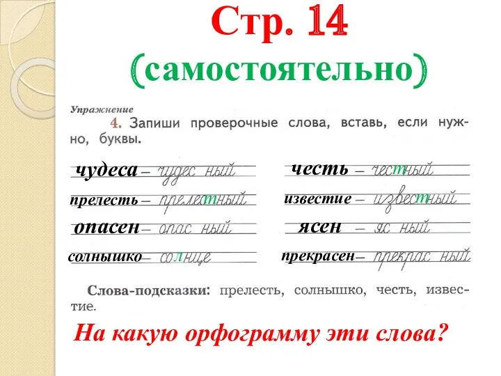 Стр. 14 (самостоятельно) На какую орфограмму эти слова? чудеса прелесть