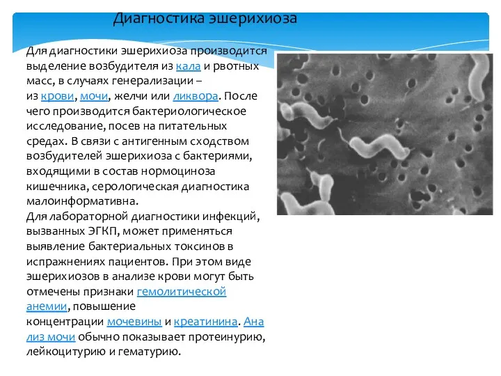 Диагностика эшерихиоза Для диагностики эшерихиоза производится выделение возбудителя из кала и рвотных масс,