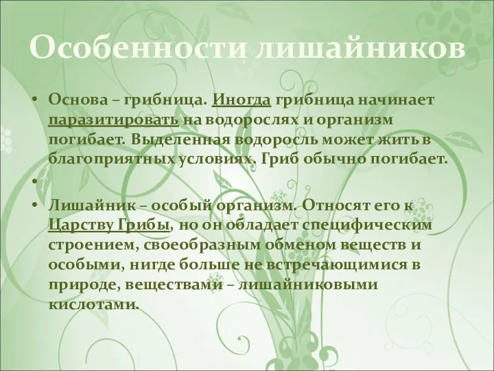 Особенности лишайников Основа – грибница. Иногда грибница начинает паразитировать на