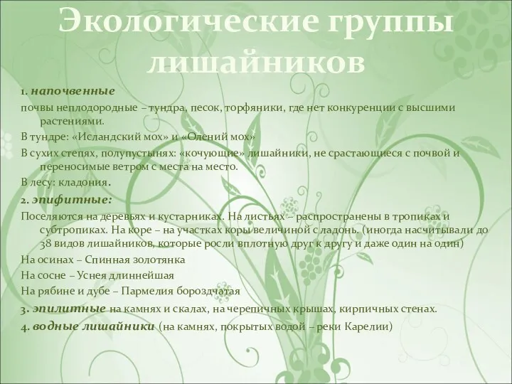 Экологические группы лишайников 1. напочвенные почвы неплодородные – тундра, песок, торфяники, где нет