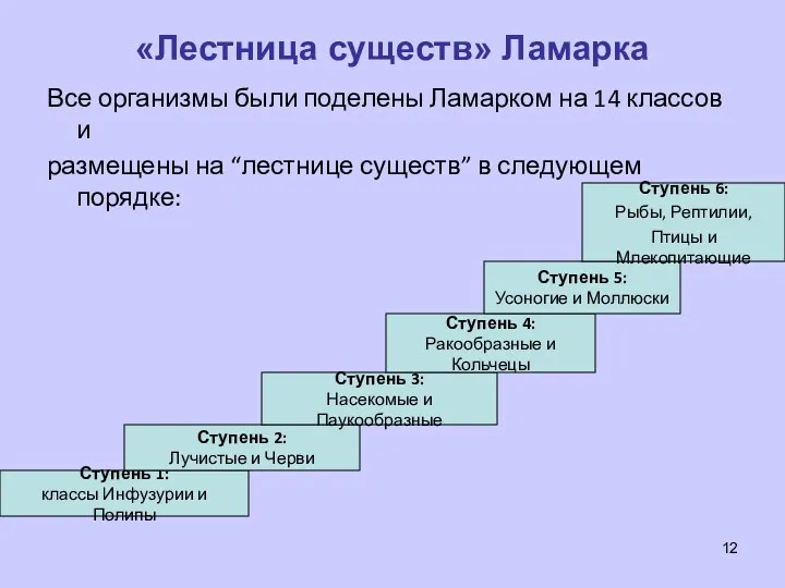 «Лестница существ» Ламарка Все организмы были поделены Ламарком на 14