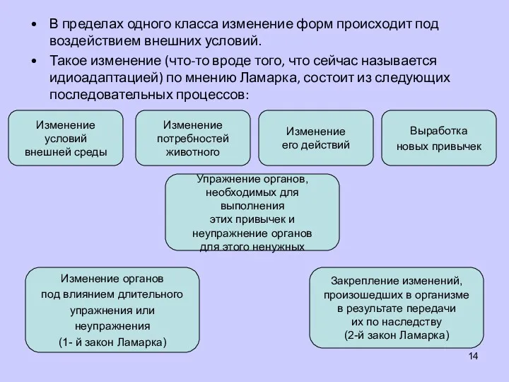 В пределах одного класса изменение форм происходит под воздействием внешних