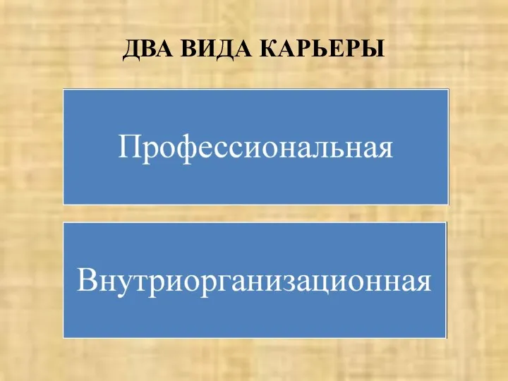 ДВА ВИДА КАРЬЕРЫ