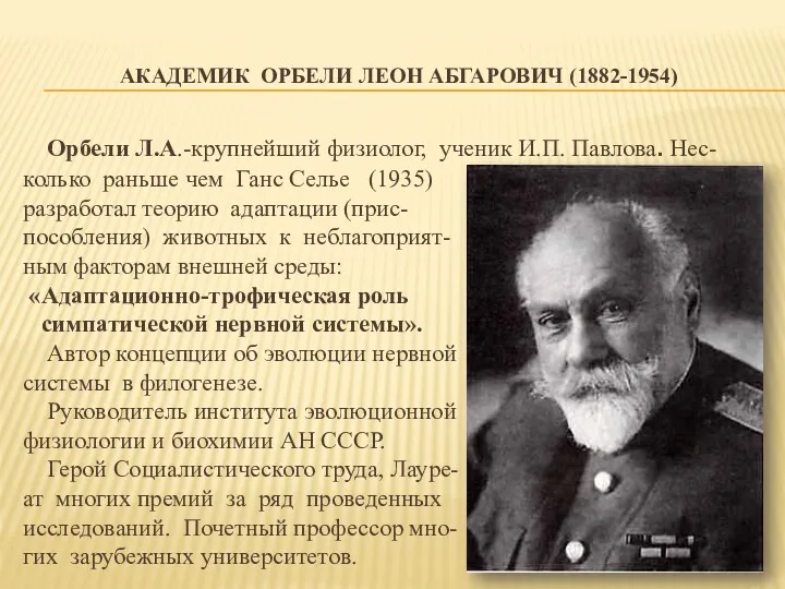 АКАДЕМИК ОРБЕЛИ ЛЕОН АБГАРОВИЧ (1882-1954) Орбели Л.А.-крупнейший физиолог, ученик И.П.