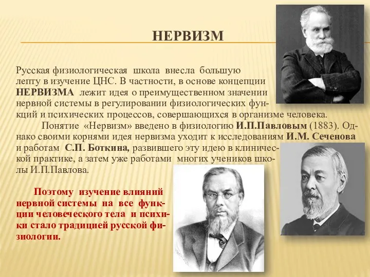 НЕРВИЗМ Русская физиологическая школа внесла большую лепту в изучение ЦНС.