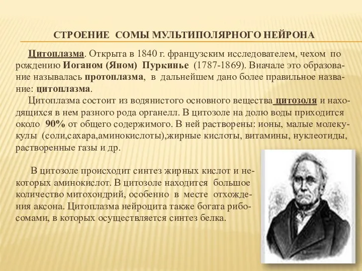 СТРОЕНИЕ СОМЫ МУЛЬТИПОЛЯРНОГО НЕЙРОНА Цитоплазма. Открыта в 1840 г. французским