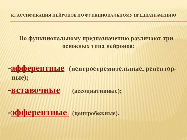 КЛАССИФИКАЦИЯ НЕЙРОНОВ ПО ФУНКЦИОНАЛЬНОМУ ПРЕДНАЗНАЧЕНИЮ По функциональному предназначению различают три