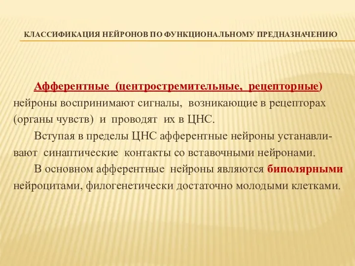 КЛАССИФИКАЦИЯ НЕЙРОНОВ ПО ФУНКЦИОНАЛЬНОМУ ПРЕДНАЗНАЧЕНИЮ Афферентные (центростремительные, рецепторные) нейроны воспринимают