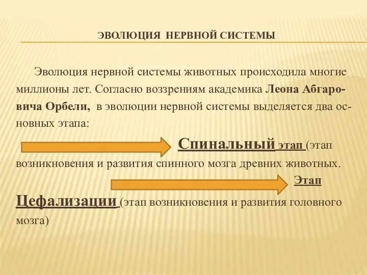 ЭВОЛЮЦИЯ НЕРВНОЙ СИСТЕМЫ Эволюция нервной системы животных происходила многие миллионы