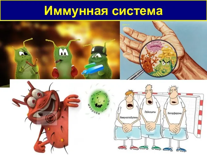 Иммунная система