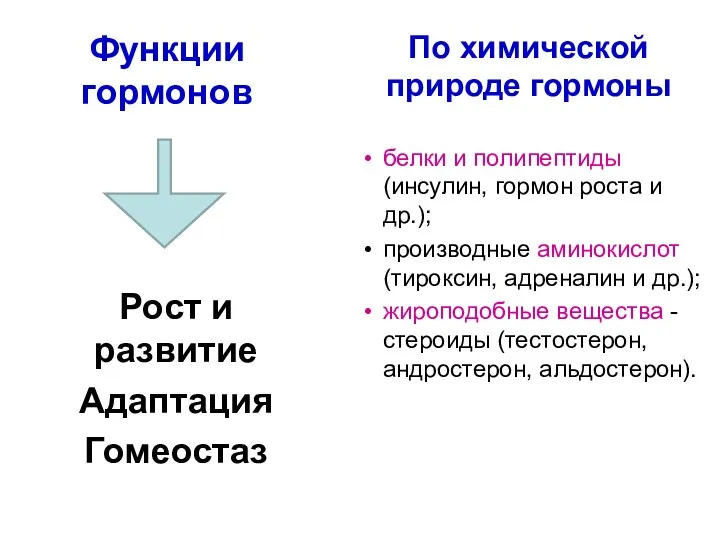 Функции гормонов Рост и развитие Адаптация Гомеостаз белки и полипептиды