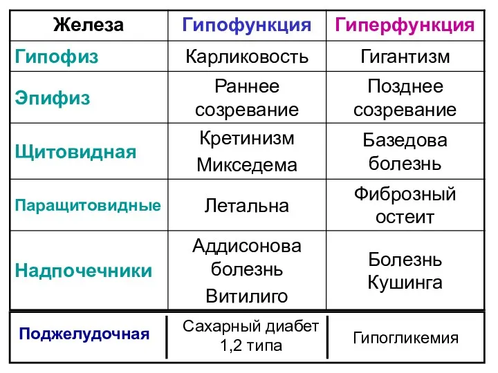 Поджелудочная Сахарный диабет 1,2 типа Гипогликемия