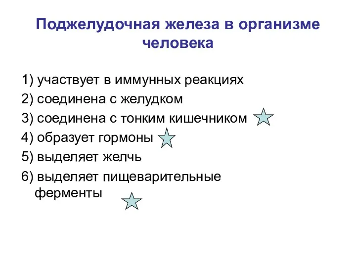 Поджелудочная железа в организме человека 1) участвует в иммунных реакциях