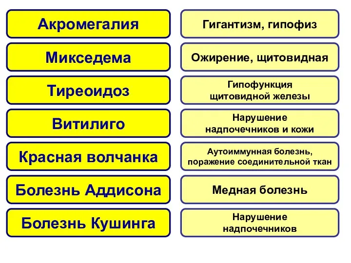 Акромегалия Микседема Тиреоидоз Витилиго Красная волчанка Болезнь Аддисона Болезнь Кушинга