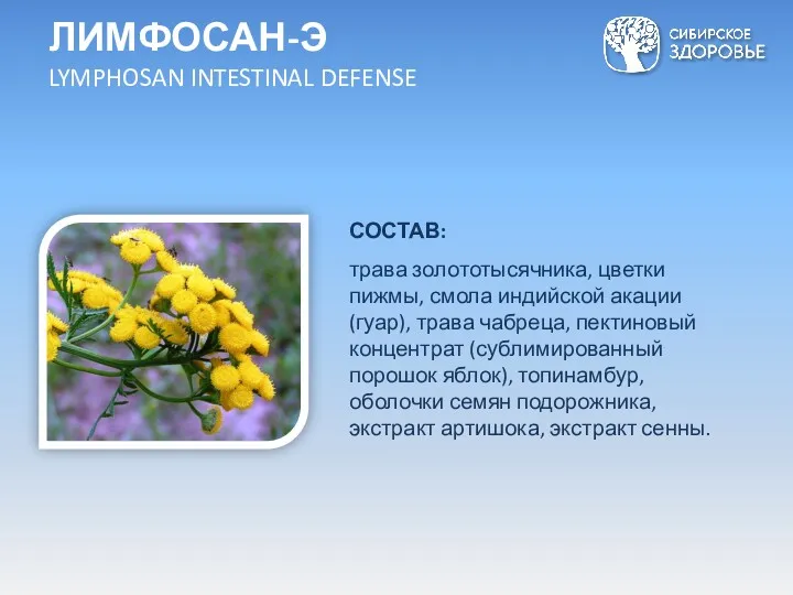 СОСТАВ: трава золототысячника, цветки пижмы, смола индийской акации (гуар), трава